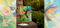 Vibrant Wings: The Hummingbird Study